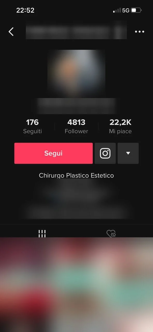 Profilo TikTok prima: 4.813 follower